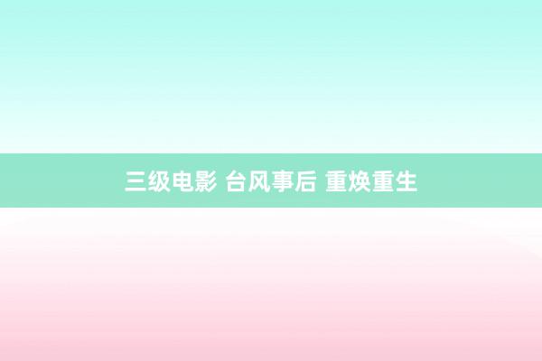 三级电影 台风事后 重焕重生