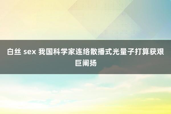 白丝 sex 我国科学家连络散播式光量子打算获艰巨阐扬