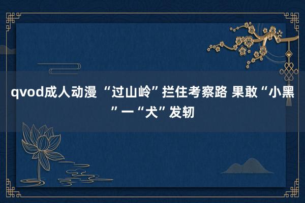 qvod成人动漫 “过山岭”拦住考察路 果敢“小黑”一“犬”发轫