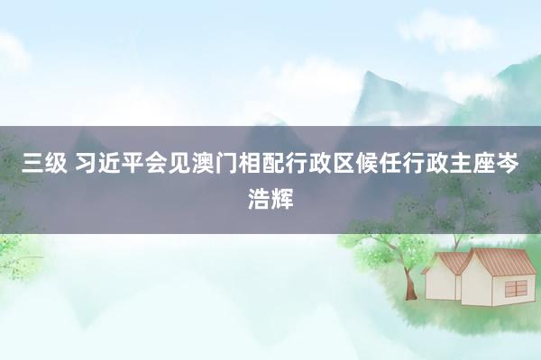三级 习近平会见澳门相配行政区候任行政主座岑浩辉