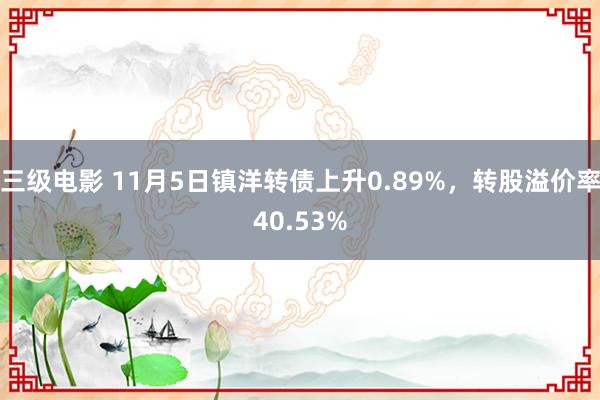 三级电影 11月5日镇洋转债上升0.89%,转股溢价率40.53%