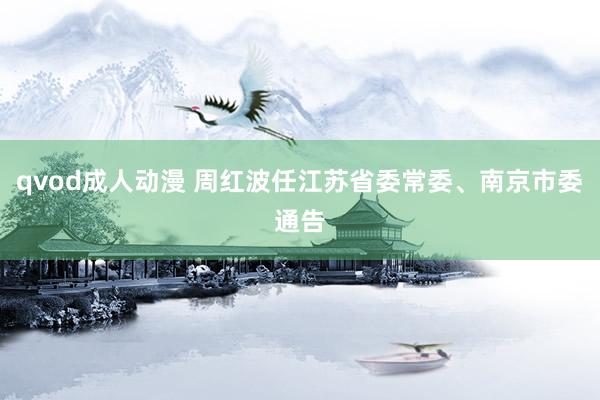 qvod成人动漫 周红波任江苏省委常委、南京市委通告