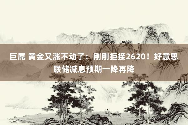 巨屌 黄金又涨不动了：刚刚拒接2620！好意思联储减息预期一降再降