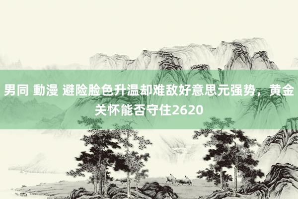 男同 動漫 避险脸色升温却难敌好意思元强势，黄金关怀能否守住2620