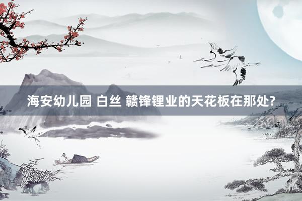海安幼儿园 白丝 赣锋锂业的天花板在那处?