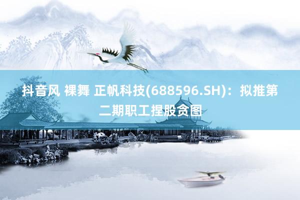 抖音风 裸舞 正帆科技(688596.SH)：拟推第二期职工捏股贪图