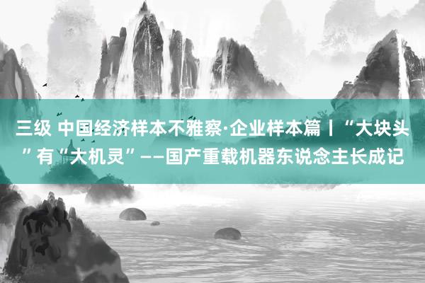 三级 中国经济样本不雅察·企业样本篇丨“大块头”有“大机灵”——国产重载机器东说念主长成记
