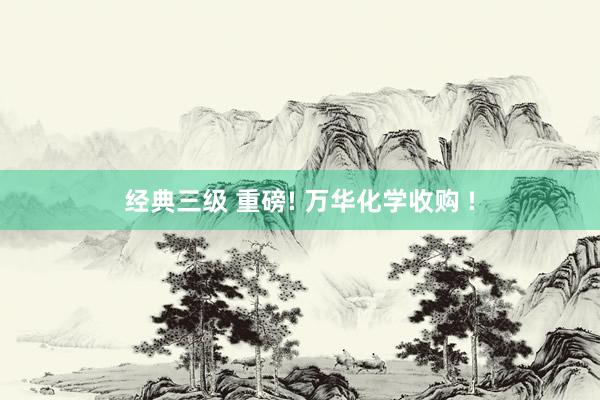 经典三级 重磅! 万华化学收购 !