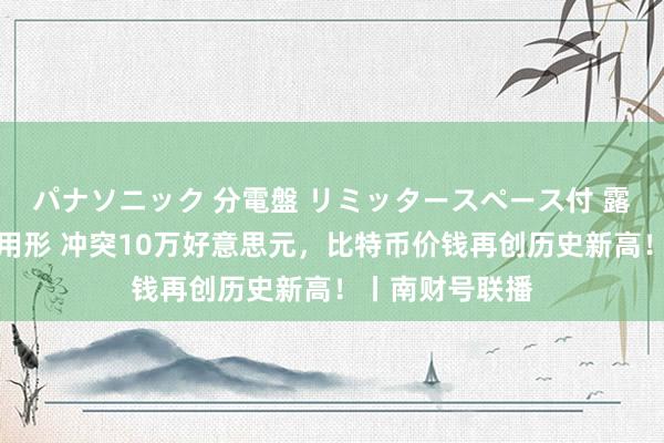 パナソニック 分電盤 リミッタースペース付 露出・半埋込両用形 冲突10万好意思元，比特币价钱再创历史新高！丨南财号联播