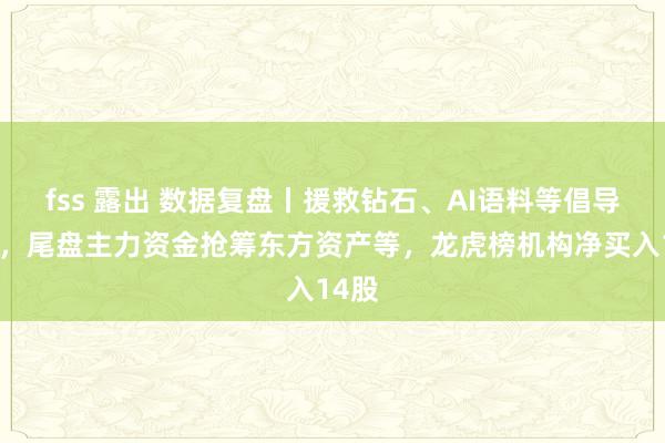 fss 露出 数据复盘丨援救钻石、AI语料等倡导走强，尾盘主力资金抢筹东方资产等，龙虎榜机构净买入14股