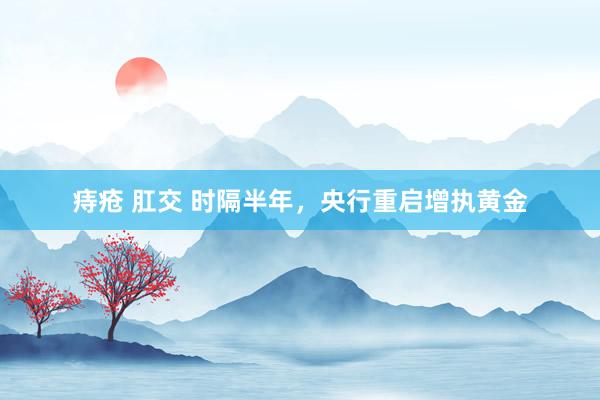 痔疮 肛交 时隔半年，央行重启增执黄金
