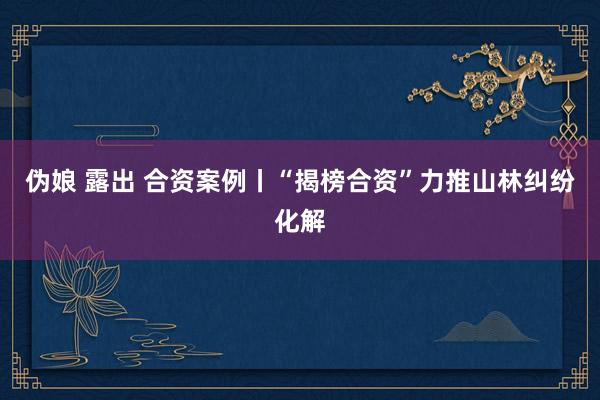 伪娘 露出 合资案例丨“揭榜合资”力推山林纠纷化解