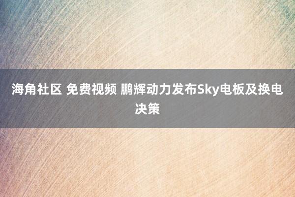 海角社区 免费视频 鹏辉动力发布Sky电板及换电决策