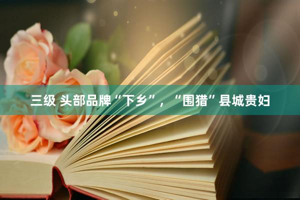 三级 头部品牌“下乡”，“围猎”县城贵妇