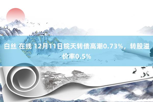 白丝 在线 12月11日皖天转债高潮0.73%，转股溢价率0.5%