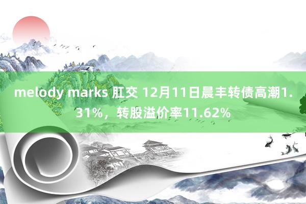 melody marks 肛交 12月11日晨丰转债高潮1.31%，转股溢价率11.62%