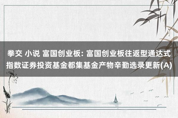 拳交 小说 富国创业板: 富国创业板往返型通达式指数证券投资基金都集基金产物辛勤选录更新(A)