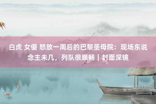 白虎 女優 怒放一周后的巴黎圣母院：现场东说念主未几，列队很顺畅｜封面深镜