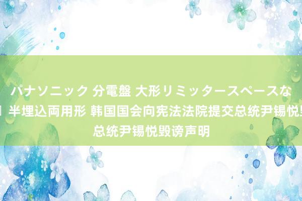 パナソニック 分電盤 大形リミッタースペースなし 露出・半埋込両用形 韩国国会向宪法法院提交总统尹锡悦毁谤声明