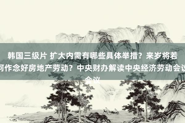 韩国三级片 扩大内需有哪些具体举措？来岁将若何作念好房地产劳动？中央财办解读中央经济劳动会议