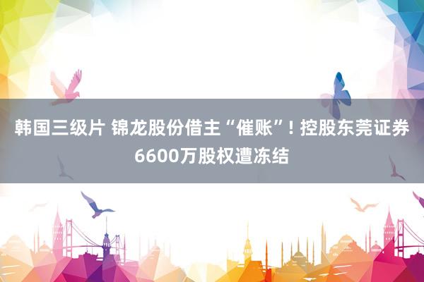 韩国三级片 锦龙股份借主“催账”! 控股东莞证券6600万股权遭冻结