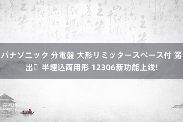 パナソニック 分電盤 大形リミッタースペース付 露出・半埋込両用形 12306新功能上线!