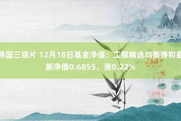 韩国三级片 12月18日基金净值：工银精选均衡搀和最新净值0.6855，涨0.22%