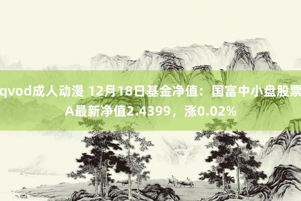 qvod成人动漫 12月18日基金净值：国富中小盘股票A最新净值2.4399，涨0.02%