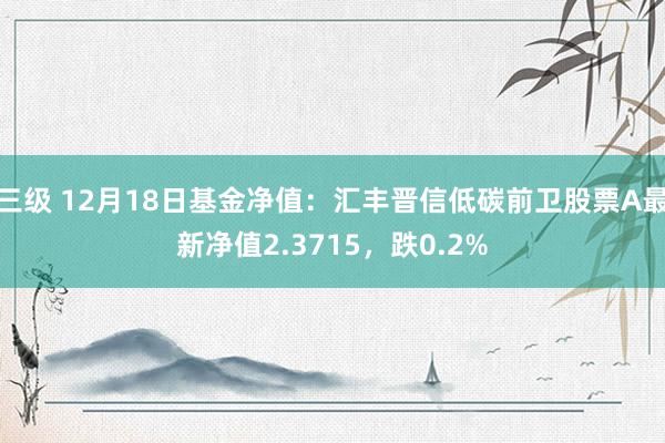三级 12月18日基金净值：汇丰晋信低碳前卫股票A最新净值2.3715，跌0.2%