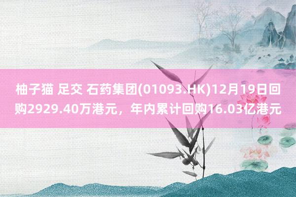 柚子猫 足交 石药集团(01093.HK)12月19日回购2929.40万港元，年内累计回购16.03亿港元