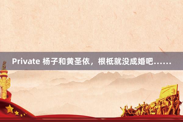 Private 杨子和黄圣依，根柢就没成婚吧……
