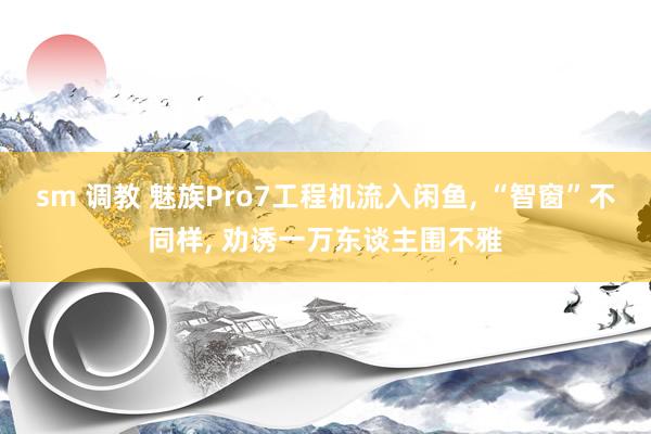 sm 调教 魅族Pro7工程机流入闲鱼， “智窗”不同样， 劝诱一万东谈主围不雅