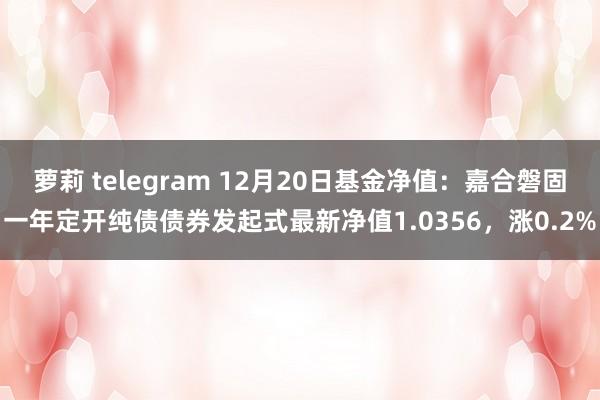 萝莉 telegram 12月20日基金净值：嘉合磐固一年定开纯债债券发起式最新净值1.0356，涨0.2%