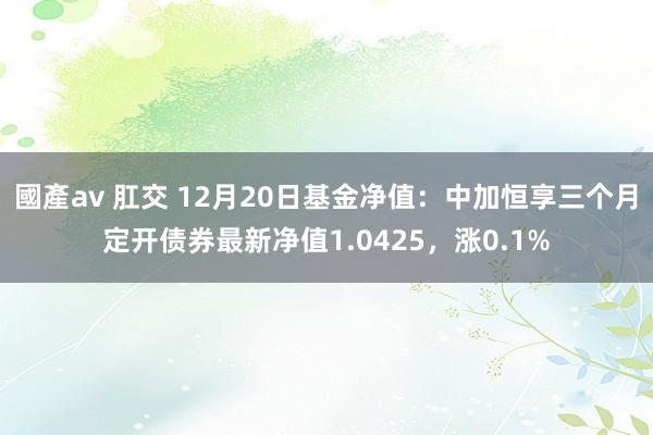 國產av 肛交 12月20日基金净值：中加恒享三个月定开债券最新净值1.0425，涨0.1%