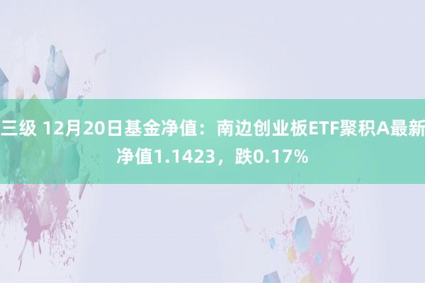 三级 12月20日基金净值：南边创业板ETF聚积A最新净值1.1423，跌0.17%