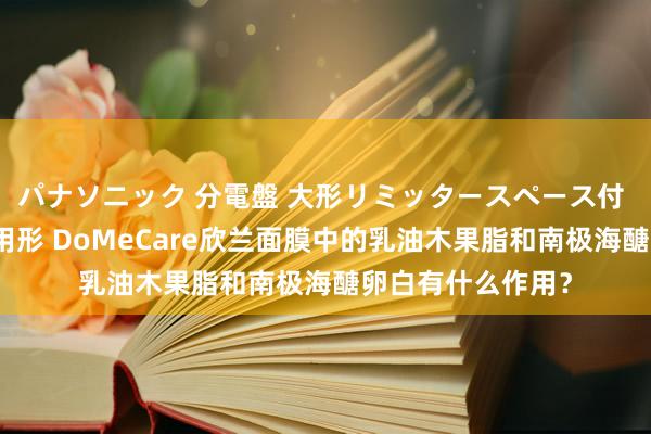 パナソニック 分電盤 大形リミッタースペース付 露出・半埋込両用形 DoMeCare欣兰面膜中的乳油木果脂和南极海醣卵白有什么作用？