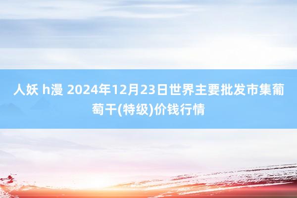 人妖 h漫 2024年12月23日世界主要批发市集葡萄干(特级)价钱行情