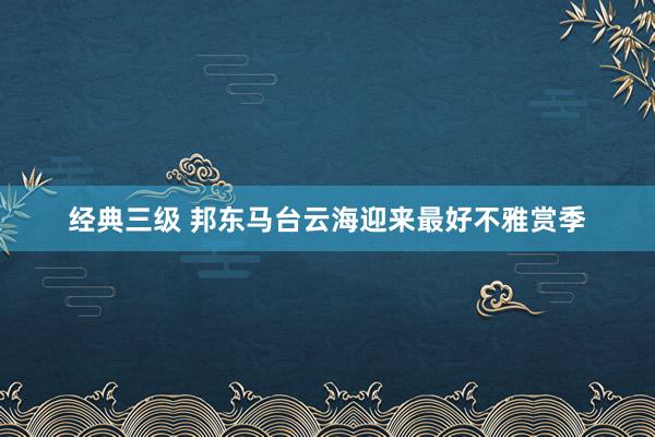 经典三级 邦东马台云海迎来最好不雅赏季