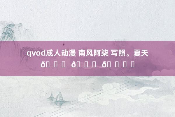 qvod成人动漫 南风阿柒 写照。夏天🍉 🍃 🏖️