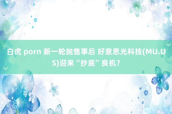 白虎 porn 新一轮抛售事后 好意思光科技(MU.US)迎来“抄底”良机？