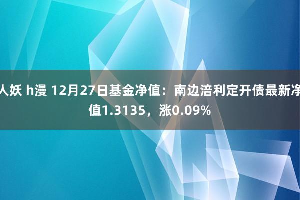 人妖 h漫 12月27日基金净值：南边涪利定开债最新净值1.3135，涨0.09%