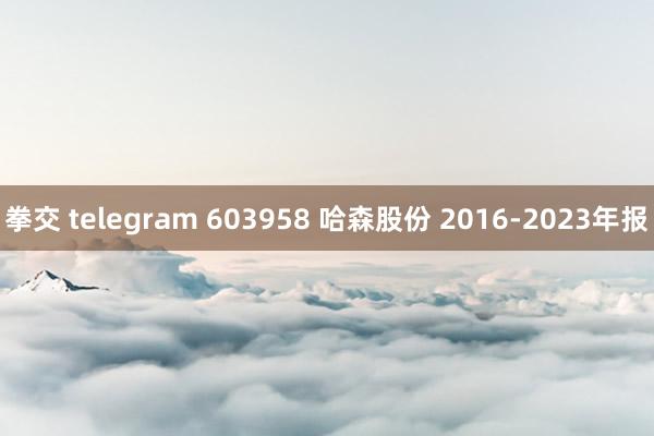 拳交 telegram 603958 哈森股份 2016-2023年报