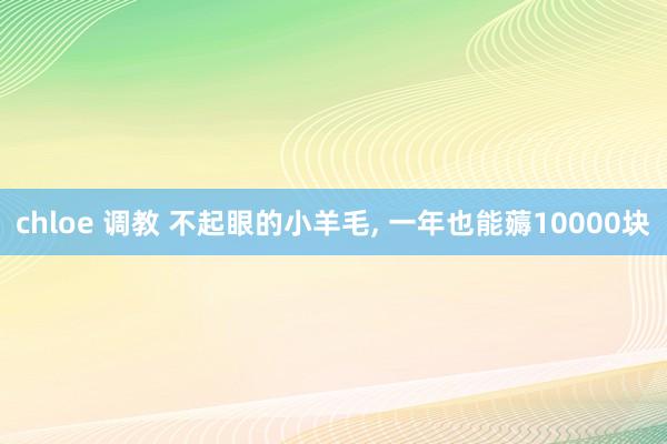 chloe 调教 不起眼的小羊毛， 一年也能薅10000块