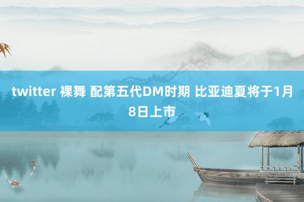 twitter 裸舞 配第五代DM时期 比亚迪夏将于1月8日上市