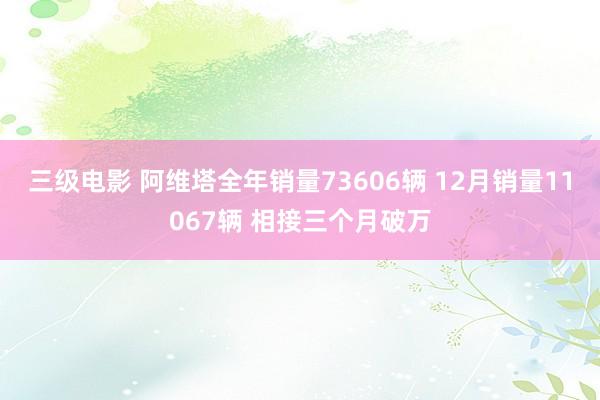 三级电影 阿维塔全年销量73606辆 12月销量11067辆 相接三个月破万