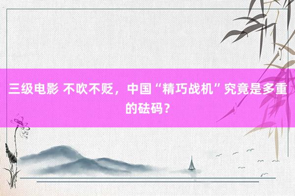 三级电影 不吹不贬，中国“精巧战机”究竟是多重的砝码？