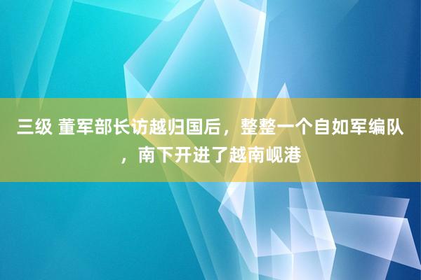 三级 董军部长访越归国后，整整一个自如军编队，南下开进了越南岘港