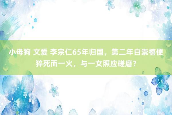 小母狗 文爱 李宗仁65年归国，第二年白崇禧便猝死而一火，与一女照应磋磨？