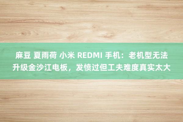 麻豆 夏雨荷 小米 REDMI 手机：老机型无法升级金沙江电板，发愤过但工夫难度真实太大