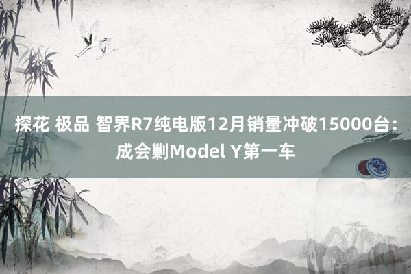 探花 极品 智界R7纯电版12月销量冲破15000台：成会剿Model Y第一车